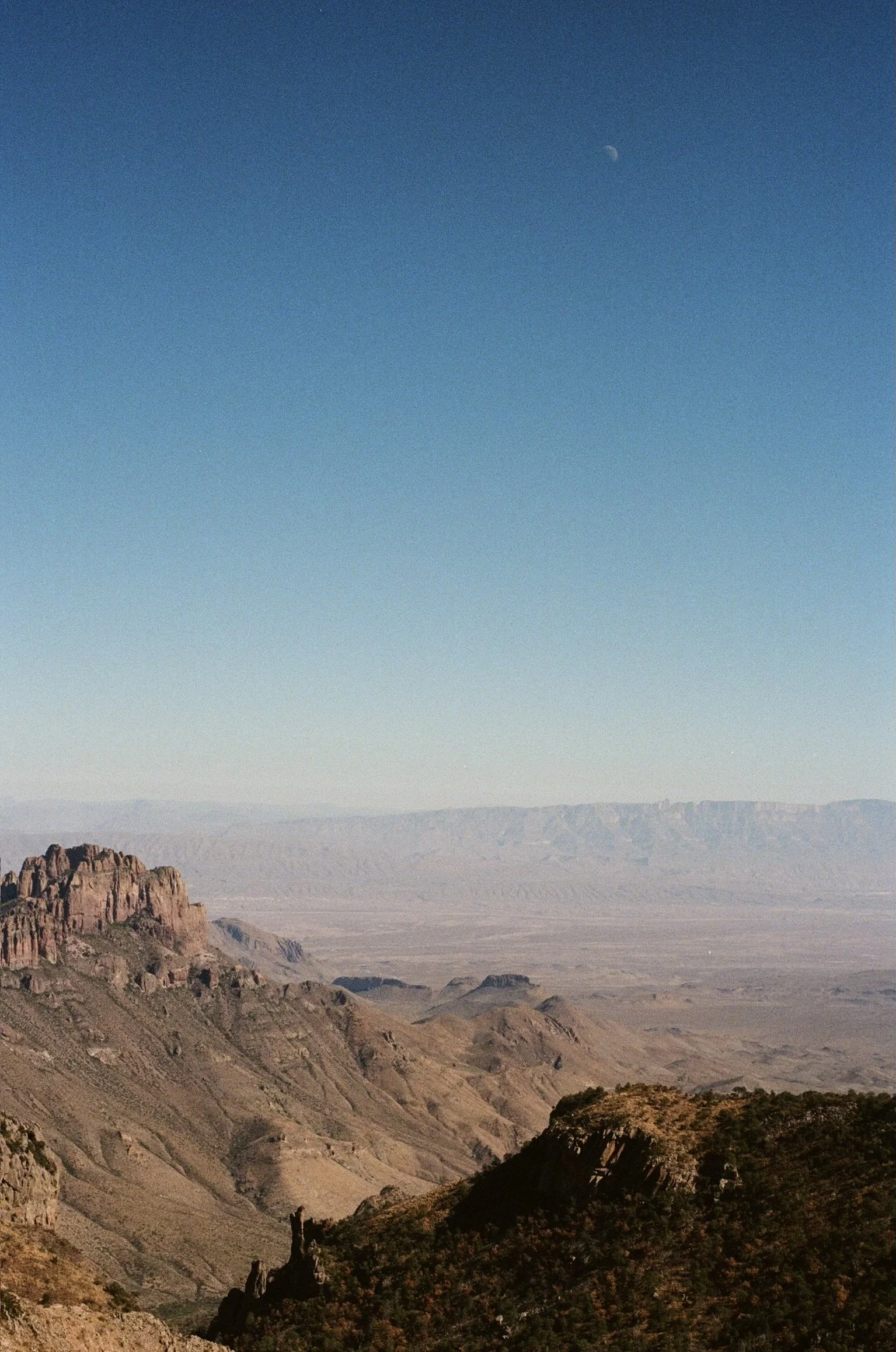 TERRAIN landscape