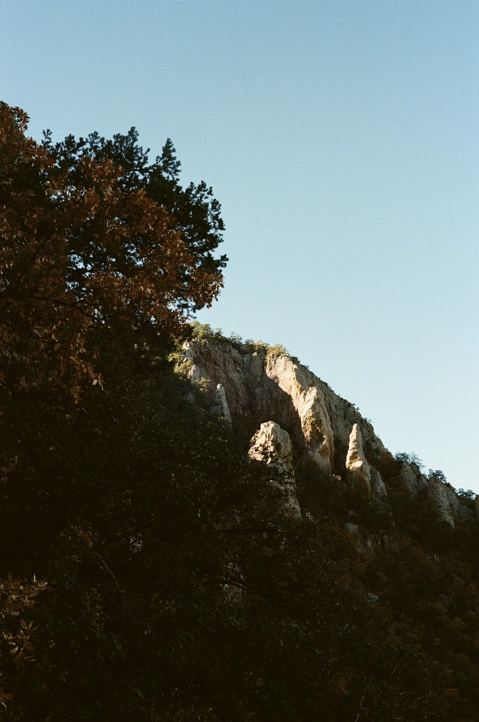 TERRAIN x Logos Lent collaboration